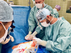Operace prsou – na fotografii zástupce primáře MUDr. Petr Šuk, MUDr. Marek Kubík, MUDr. Jan Bílek a MUDr. Madina Babakalanová. Pacientce byl vyňat prasklý implantát z prsu, vyměněn za nový a prsa byla modelována.